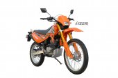 2010 Qingqi Liger QM200GY-B photo